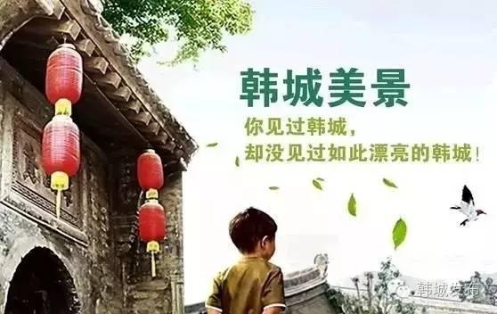 谷哨村爆料人是谁啊视频,视频背后的真相揭晓